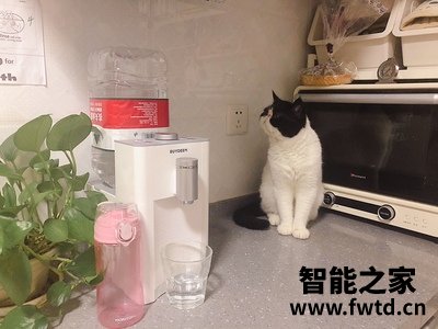 NHK台式净饮机好用吗？ 
