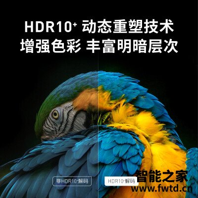 用事实说话：投影仪当贝D3X评测怎么样呢？用户评价评分高吗？