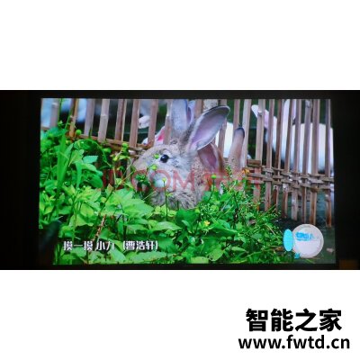 亲测解析：创维电视55V40怎么样?质量是不是真的差?