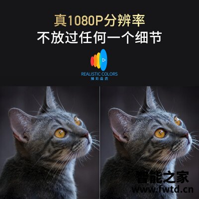 揭秘曝光投影仪当贝f1c和大眼橙x7d区别哪个好？爆料真实使用感受