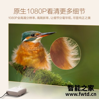 用事实说话：投影仪爱普生ch-tw5700对比当贝f3区别哪个好？谁知道内幕呀