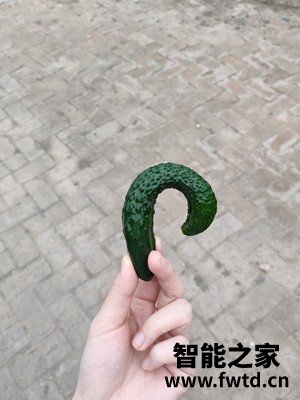 吐槽反馈方太JCD1+TH31B怎么样,用户反馈差吗!! 吐槽反馈方太JCD1+TH31B怎么样,用户反馈差吗!!