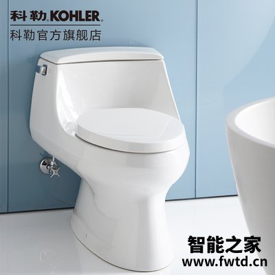 口碑评测科勒圣拉菲尔智能马桶盖怎么样?全面解析优缺点 口碑评测科勒圣拉菲尔智能马桶盖怎么样?全面解析优缺点