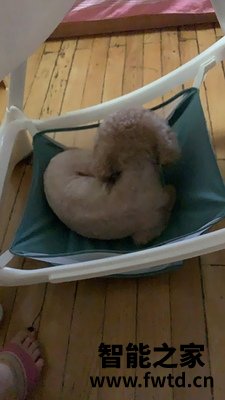 实话Pouch婴儿推车怎么样,使用一个月后点评!!!【反馈知道 实话Pouch婴儿推车怎么样,使用一个月后点评!!!【反馈知道