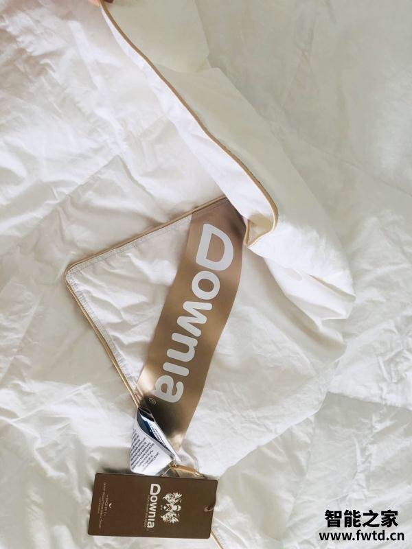 真心话DOWNIA羽绒被怎么样,使用一个月后反馈!!!【使用感受 真心话DOWNIA羽绒被怎么样,使用一个月后反馈!!!【使用感受