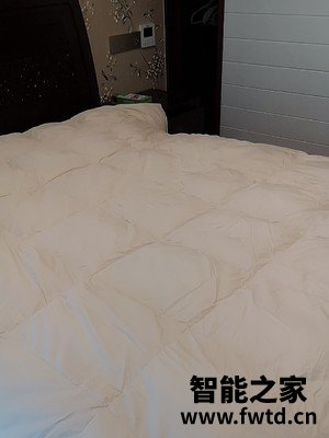 反馈知道Downland羽绒被怎么样?听说质量很OK棒是真的吗?