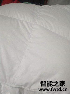 反馈知道Downland羽绒被怎么样?听说质量很OK棒是真的吗?
