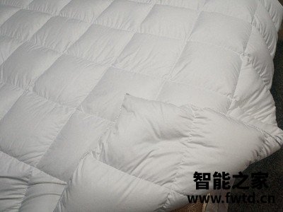 反馈知道Downland羽绒被怎么样?听说质量很OK棒是真的吗?