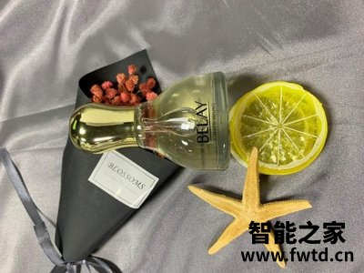 精华液什么牌子好,碧琳护肤品怎么样
