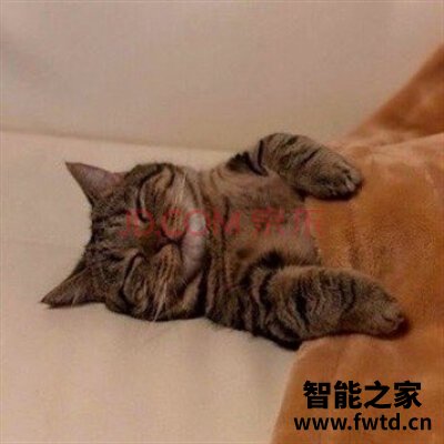 华为Mate 30 Pro怎么样,使用一个月后反馈!!!【测评大揭秘