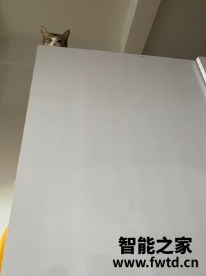 Shark鲨客蒸汽拖把T8怎么样,使用一个月后讨论!!!【真相大揭秘