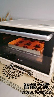 曝光Baumatic 博曼帝克嵌入式烤箱怎么样？千万不要上当？!!!!【揭秘反馈