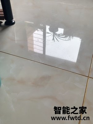 Shark鲨客P3怎么样,吐槽一个月后感受!!!【问题大反馈