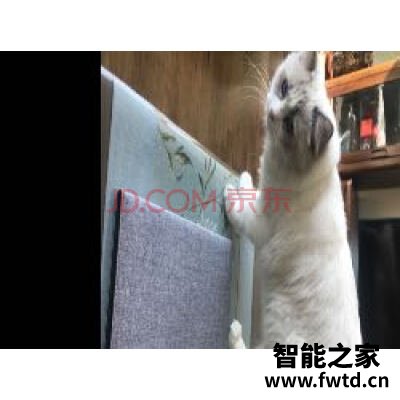 掌阅iReader Smart X怎么样,最真实使用爆料!!!【内幕大揭露