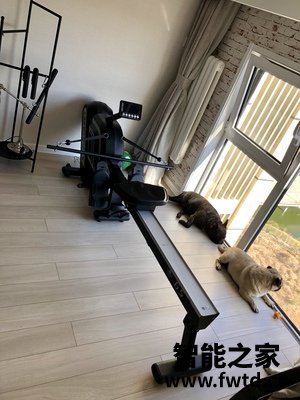 第一次使用力雅特划船机怎么样？谈一谈感受！
