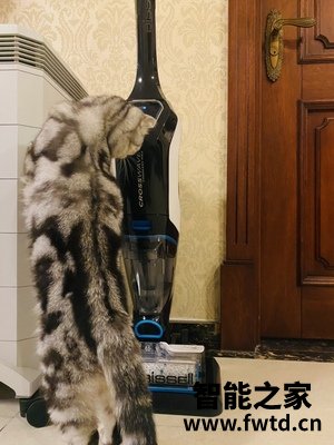 交流揭秘bissell必胜无线自动洗地机怎么样,使用一个月后真相!!!【点评大吐槽