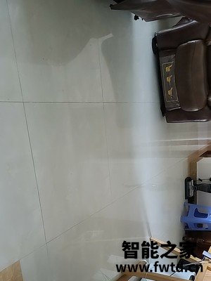交流揭秘bissell必胜无线自动洗地机怎么样,使用一个月后真相!!!【点评大吐槽