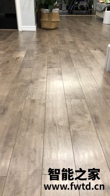 探讨解析TINECO添可吸尘器怎么样,使用一个月后感受!!!【实话大爆料