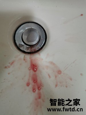 网友交流飞利浦电动冲牙器HX8331/84X1怎么样,分享一个月后感受!!!【反馈大揭秘