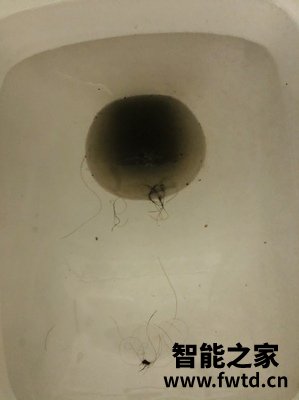 测评体验TINECO添可洗地机怎么样,评测一个月后参考!!!【口碑大分享
