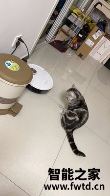 我来说说：科沃斯地宝T8MAX好吗怎么样？亲身体验分享!!【分析优缺点!