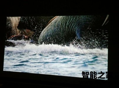 求助大家:极米NEW Z8X投影仪测评怎么样呢?使用3周体验感受 求助大家:极米NEW Z8X投影仪测评怎么样呢?使用3周体验感受