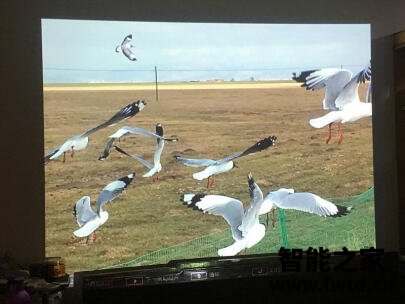 求助大家:极米NEW Z8X投影仪测评怎么样呢?使用3周体验感受 求助大家:极米NEW Z8X投影仪测评怎么样呢?使用3周体验感受