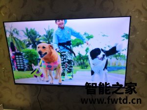 揭秘使用创维65A5怎么样?一个月亲身使用感受 揭秘使用创维65A5怎么样?一个月亲身使用感受