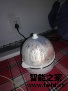 煮蛋器说明书,半球电煮蛋器好用吗 