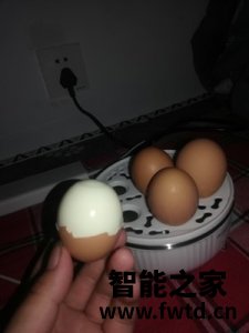 煮蛋器说明书,半球电煮蛋器好用吗 