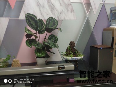 SEIGNIOR君A10音响怎么样不好用？火爆的原因是什么【客观分析】 
