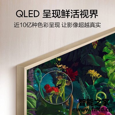 达人爆料三星QA55LS03TAJXXZ平板电视怎么样?优缺点真相 达人爆料三星QA55LS03TAJXXZ平板电视怎么样?优缺点真相