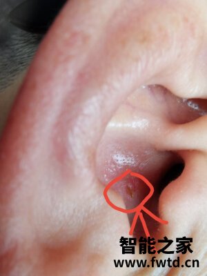 分析研究:韶音AS660怎么样,用了三个多月感受!!!【真实评测 分析研究:韶音AS660怎么样,用了三个多月感受!!!【真实评测