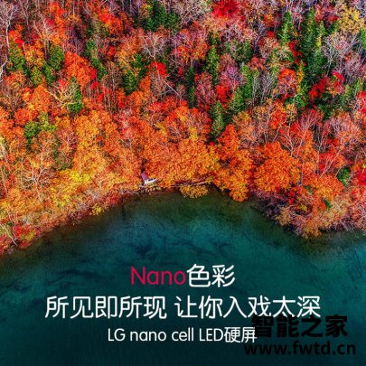 达人解密LG65SM8100PCB平板电视性能怎么样?你们认为性价比高吗? 达人解密LG65SM8100PCB平板电视性能怎么样?你们认为性价比高吗?