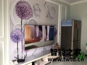 分析使用海尔 LU65C51怎么样?一个月反馈测评感受 分析使用海尔 LU65C51怎么样?一个月反馈测评感受