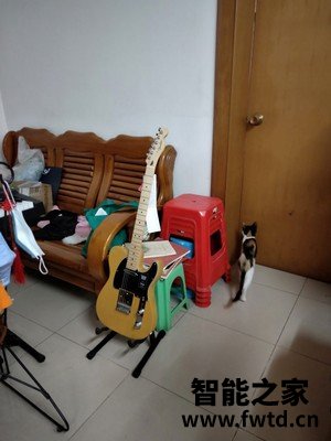 【用后评价】Fender芬达电吉他Player TELE怎么样?为什么都说好? 【用后评价】Fender芬达电吉他Player TELE怎么样?为什么都说好?