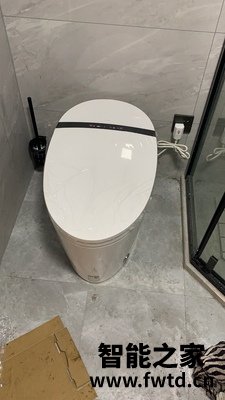 咨询浪鲸智能马桶怎么样?一个月开始后悔了吗? 咨询浪鲸智能马桶怎么样?一个月开始后悔了吗?