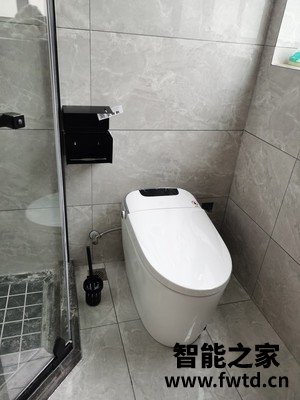 求助小鲸洗智能马桶怎么样？试用三个月彻底后悔？