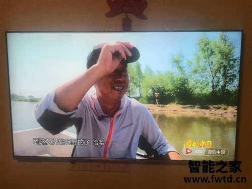 【求真相】TCL 65Q78D 65英寸液晶电视怎么样？据说有很多人吐槽？