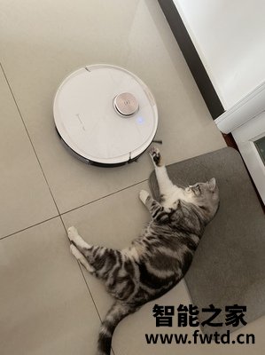 很多人咨询科沃斯地宝T5Pro怎么样呢?到底质量好不好? 很多人咨询科沃斯地宝T5Pro怎么样呢?到底质量好不好?