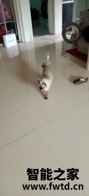 很多人咨询科沃斯地宝T5Pro怎么样呢?到底质量好不好? 很多人咨询科沃斯地宝T5Pro怎么样呢?到底质量好不好?