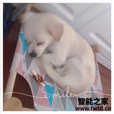 揭秘真相科沃斯地宝DK35怎么样呢?到底质量好不好? 揭秘真相科沃斯地宝DK35怎么样呢?到底质量好不好?