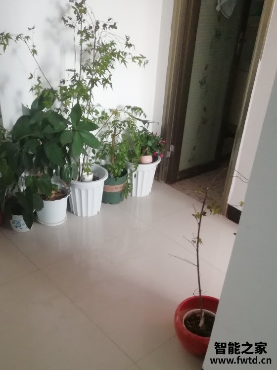 科沃斯扫地机器人T8怎么样质量好不好?真实揭秘反馈 科沃斯扫地机器人T8怎么样质量好不好?真实揭秘反馈