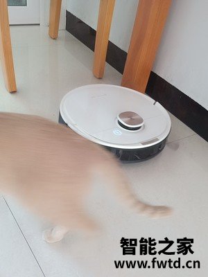 科沃斯扫地机器人T8怎么样质量好不好?真实揭秘反馈 科沃斯扫地机器人T8怎么样质量好不好?真实揭秘反馈