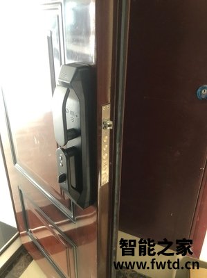 探索真相德施曼Q5M怎么样？一个月以后会后悔吗