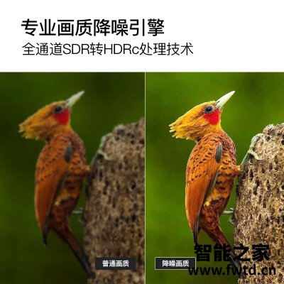 深度爆料乐视TVY43平板电视怎么样?详细剖析内幕 深度爆料乐视TVY43平板电视怎么样?详细剖析内幕