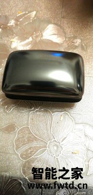 HiFiMAN(头领科技) TWS600怎么样？有人说买了非常后悔？