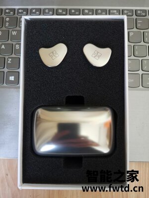 求助HIFIMAN（头领科技） TWS800怎么样？已经开始彻底后悔？