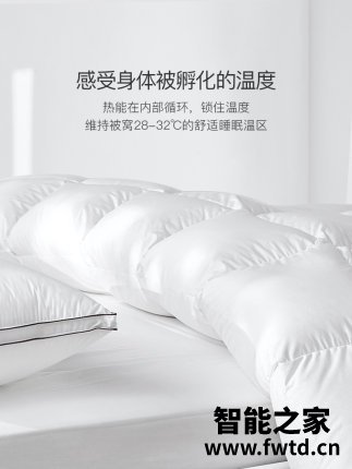 拉芙菲尔羽绒被怎么样?属于什么档次呢？