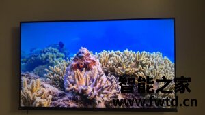 爱提问创维65A8怎么样,反馈一个月后感受!!!【质量大评测